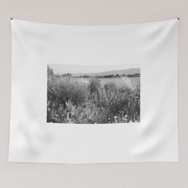 Item preview, Wild Meadow by the Lake in Black and White. Shoreline Park 2011 designed and sold by Igor Pozdnyakov.