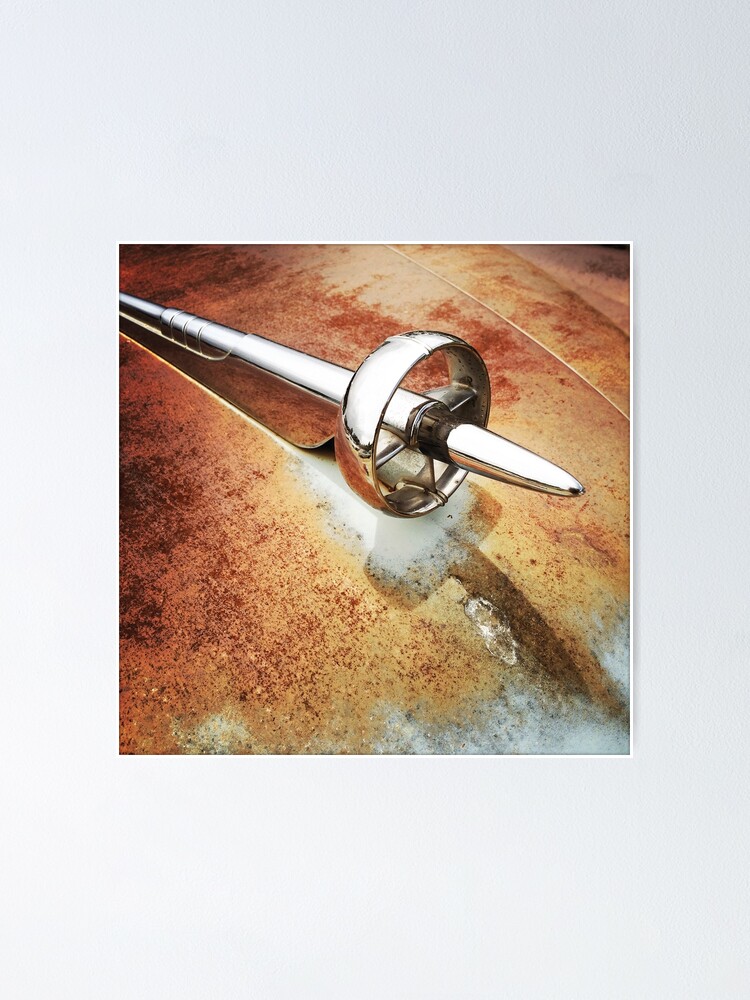 Poster ''Car Ornement' : autre vue