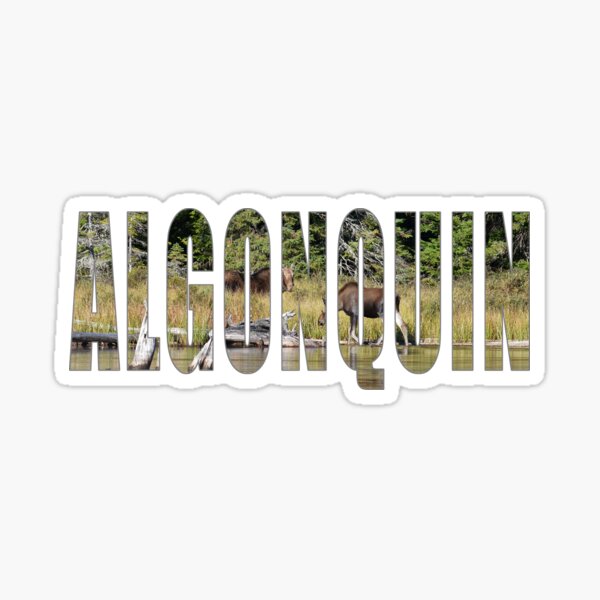 Algonquin Provincial Park Sticker