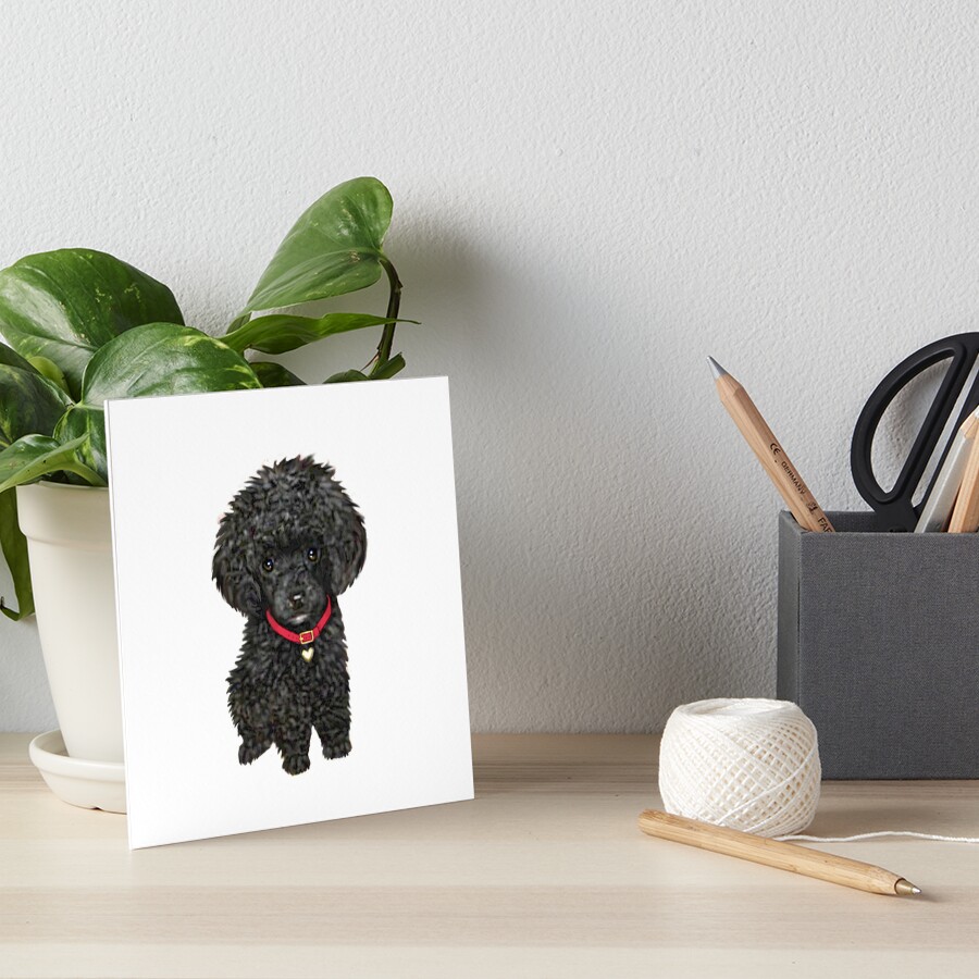 Poodle - Miniature Black Pup Art Board Print