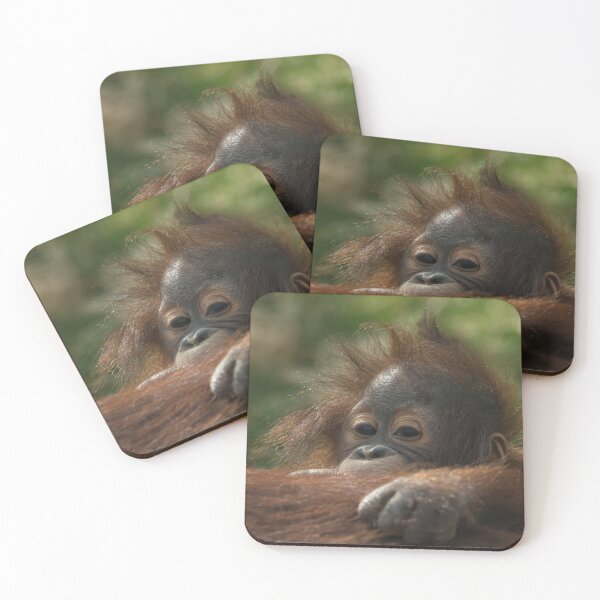 Item preview, Baby Orangutan designed and sold by rawshutterbug.