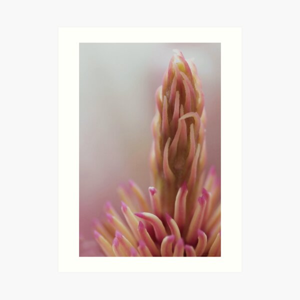 Stand Tall Art Print