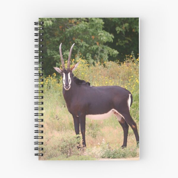 Item preview, Sable Nobleman designed and sold by Owed To Nature.