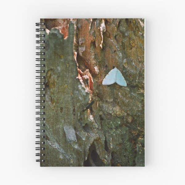 Item preview, Moth designed and sold by Laurie Minor.