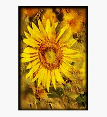 Shining Photographic Print