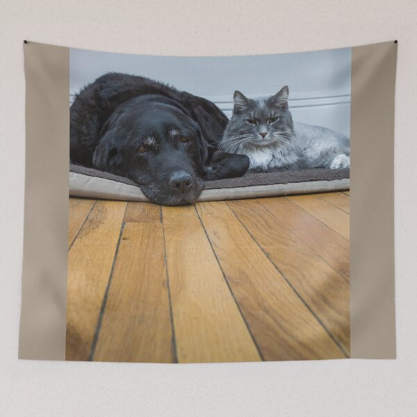Item preview, Dog and Cat Buddies designed and sold by jsachs99.
