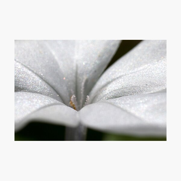 Item preview, Pearlescent designed and sold by Katrina Freckleton.