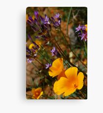Wildflowers Canvas Print