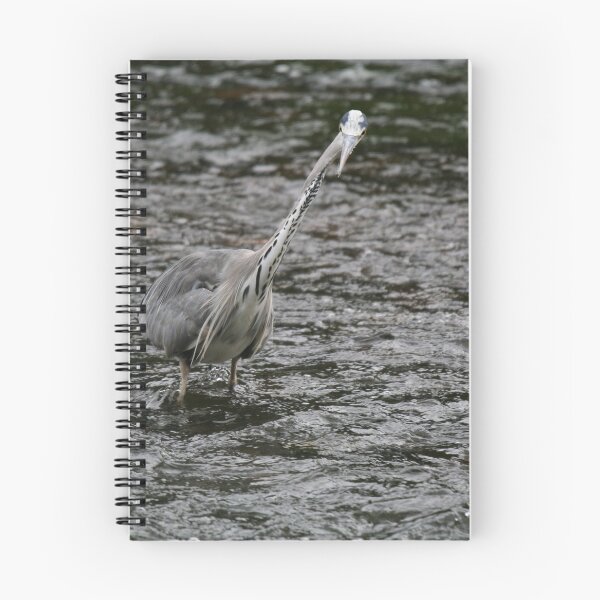 Item preview, Hunting heron designed and sold by Digitaldegs.