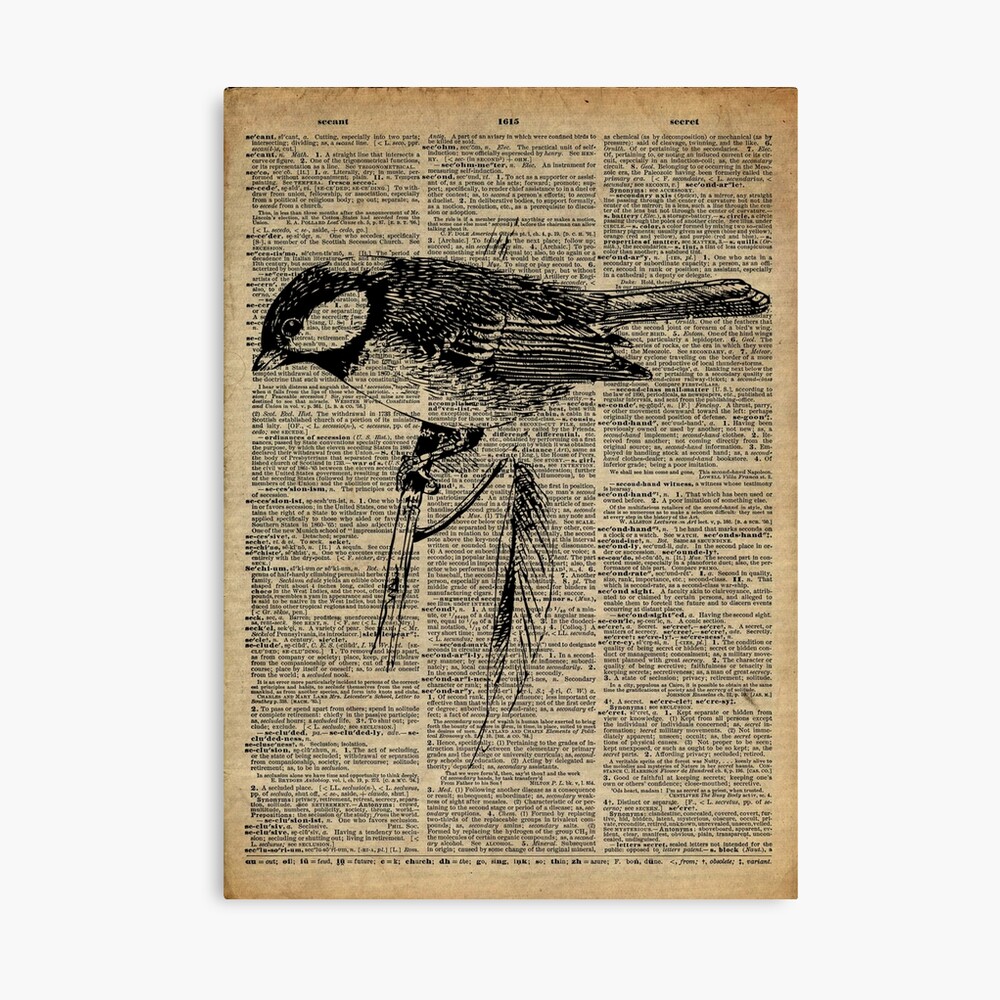 Bird vintage dictionary page art