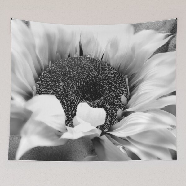 Item preview, Black & White Sunflower Modern Cottage Chic Modern Farmhouse Art A486 designed and sold by byNicol.
