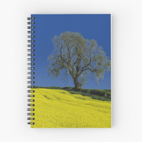 Item preview, The Oak Tree ( Landscape ) designed and sold by wiggyofipswich.