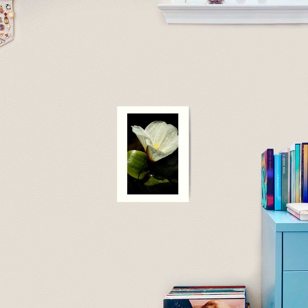 Item preview, Art Print designed and sold by Gozza.