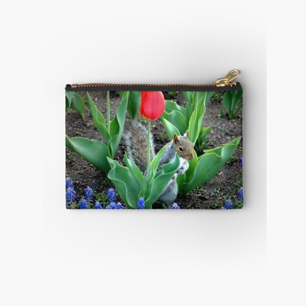 Item preview, ~Secret Squirrel~ designed and sold by a~m ..