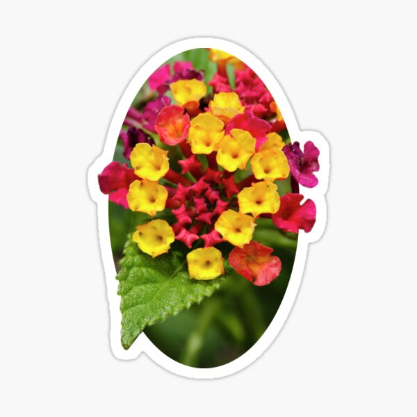 Red and Yellow Tiny Flowers Sticker