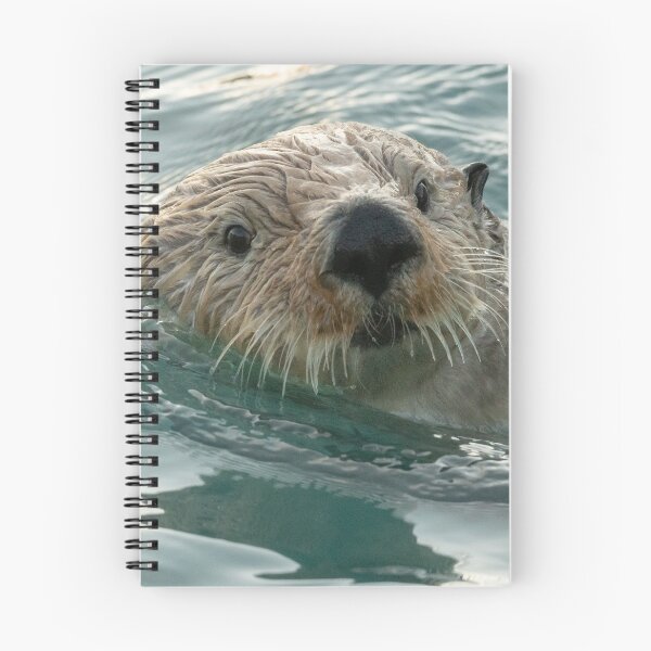 Item preview, Sea Otter portrait designed and sold by Eivor Kuchta.