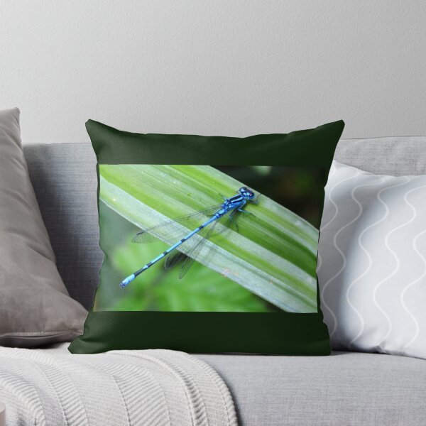 Artikelvorschau, Blauer Damselfly bei Mangerton Mill, Dorset Großbritannien entworfen und verkauft von lynn carter.