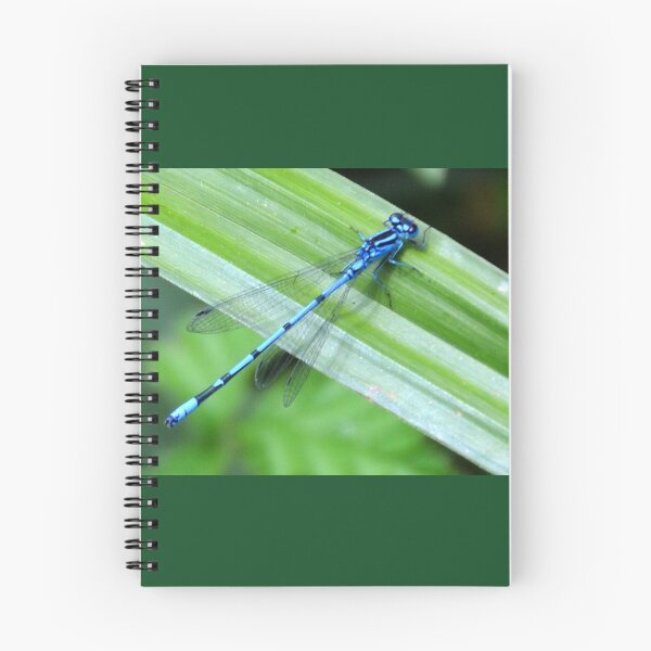 Item preview, Blue Damselfly at Mangerton Mill,Dorset UK designed and sold by lynn carter.