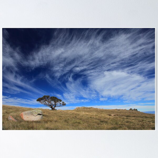 Item preview, BIg sky  designed and sold by Donovan Wilson.
