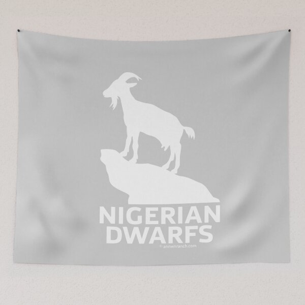 Item preview, Annwns Nigerian Goats - Goats for Fun designed and sold by Annwn-Ranch.