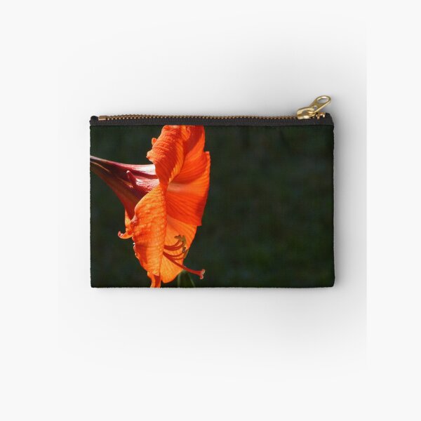 Item preview, A hippe designed and sold by PhotosByG.