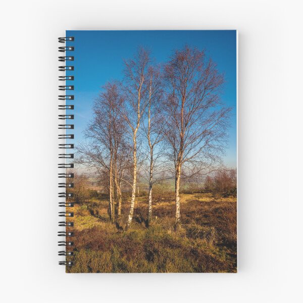 Item preview, Silver Birches designed and sold by Colin Metcalf.
