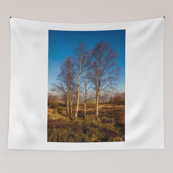 Item preview, Silver Birches designed and sold by Colin Metcalf.