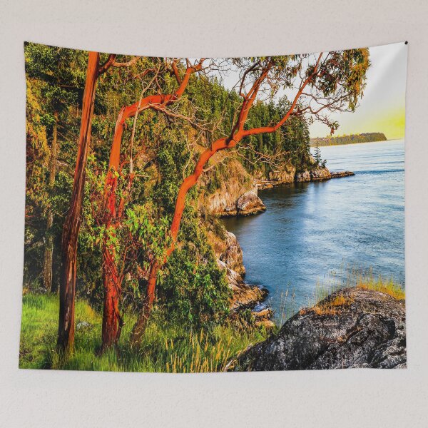 Item preview, fwc 2915 Canada Earth designed and sold by fred chiea.