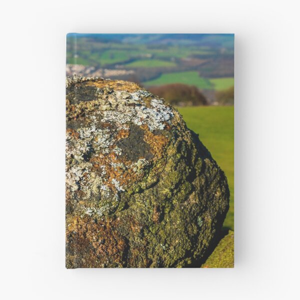 Item preview, Lichen designed and sold by Colin Metcalf.