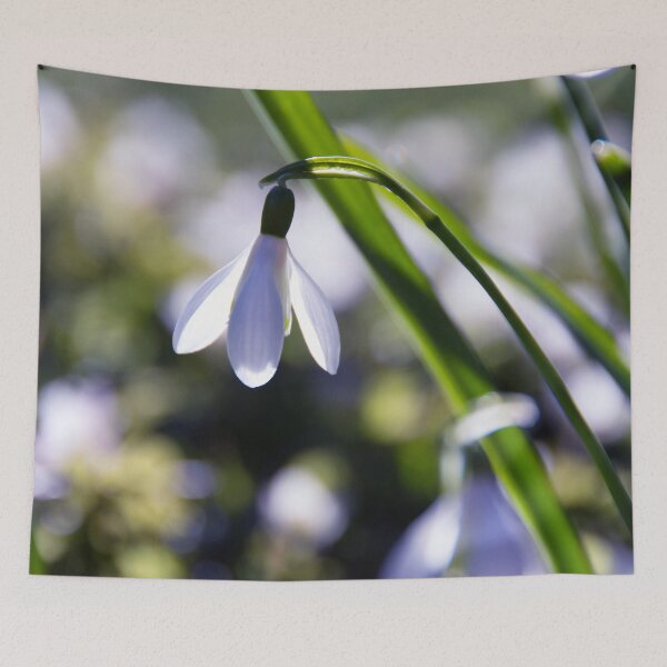 Item preview, Snowdrop: Spring is here! designed and sold by Kasia Design.