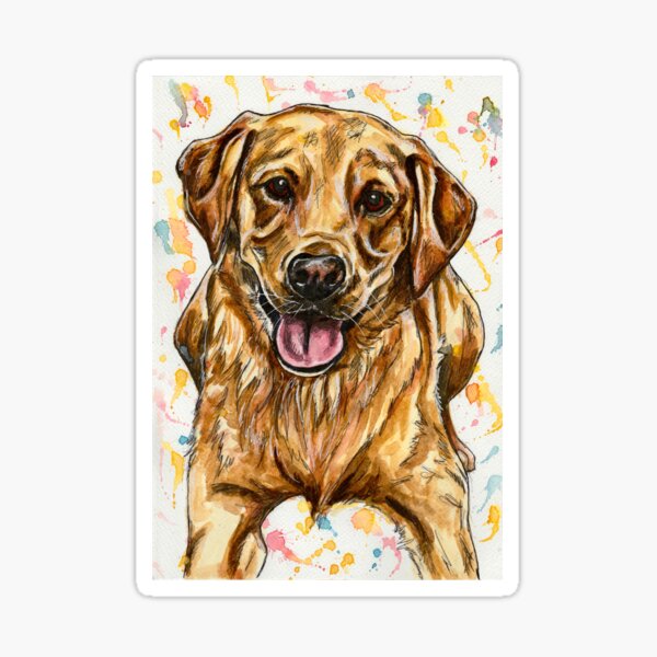 Fox Red Labrador Gifts Merchandise For Sale Redbubble