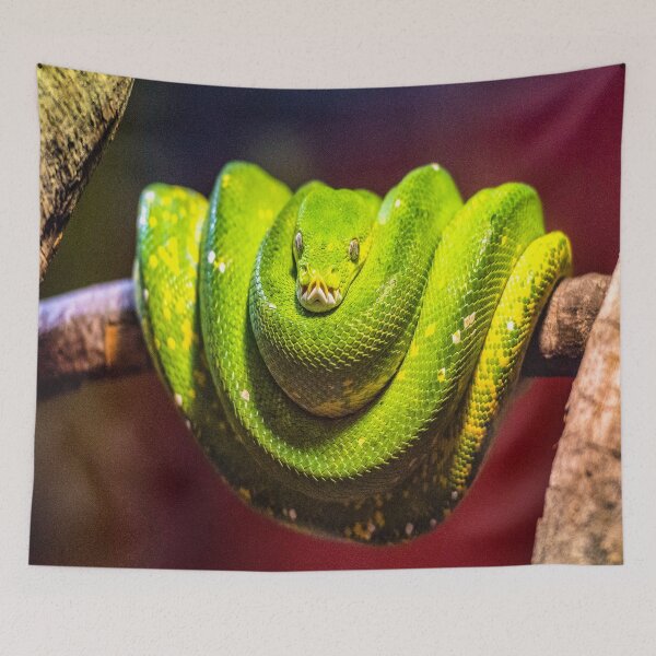 Item preview, fwc 2958 wildlife australia designed and sold by fred chiea.