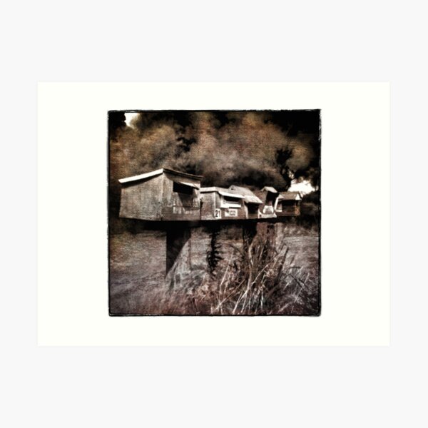 Roadside Mail_Pinhole Photography Art Print