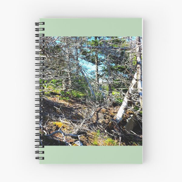 Item preview, Off the Beaten Path - Dead Forest designed and sold by Totallyalive.