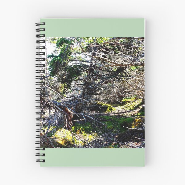 Item preview, Off the Beaten Path - Dead Forest designed and sold by Totallyalive.