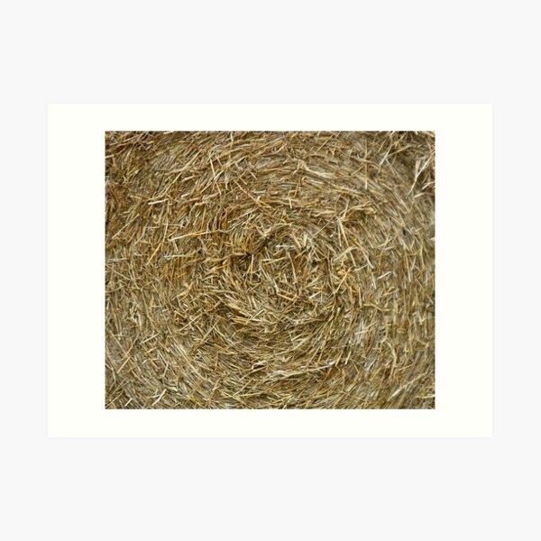 hay hay hay!!!! Art Print