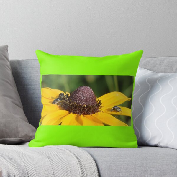 Item preview, Curculionidae designed and sold by Jon Williams.