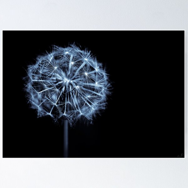 Item preview, Silence.. designed and sold by tchebytchev.
