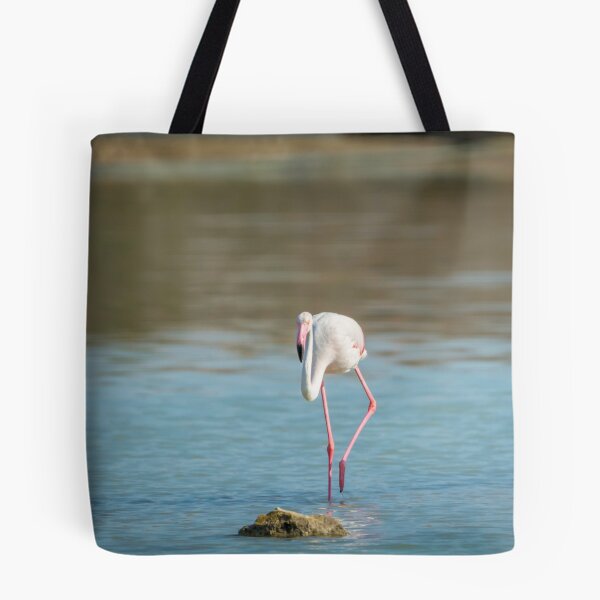 Item preview, Pretty Flamingos designed and sold by Ralph Goldsmith.