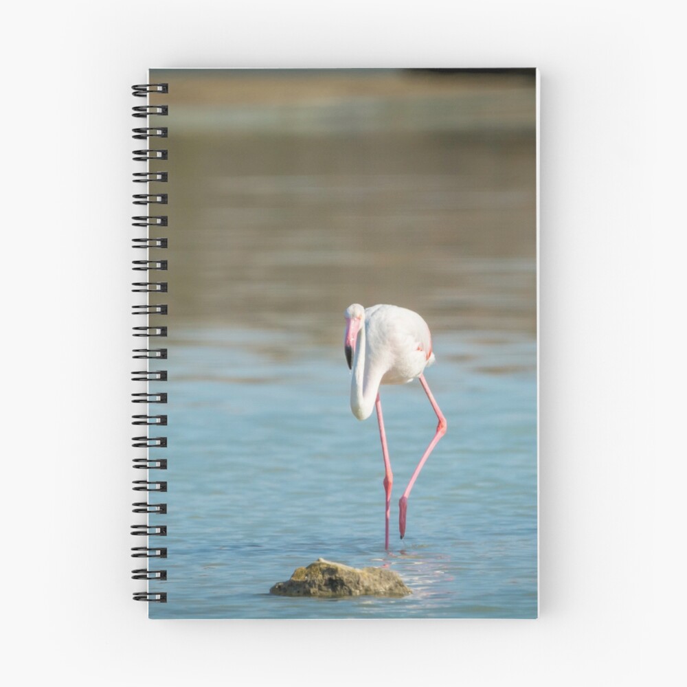 Item preview, Spiral Notebook designed and sold by RalphGoldsmith.