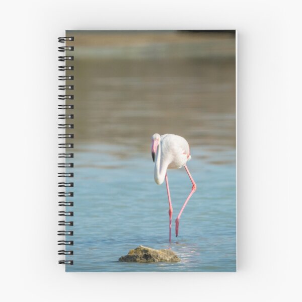 Item preview, Pretty Flamingos designed and sold by Ralph Goldsmith.