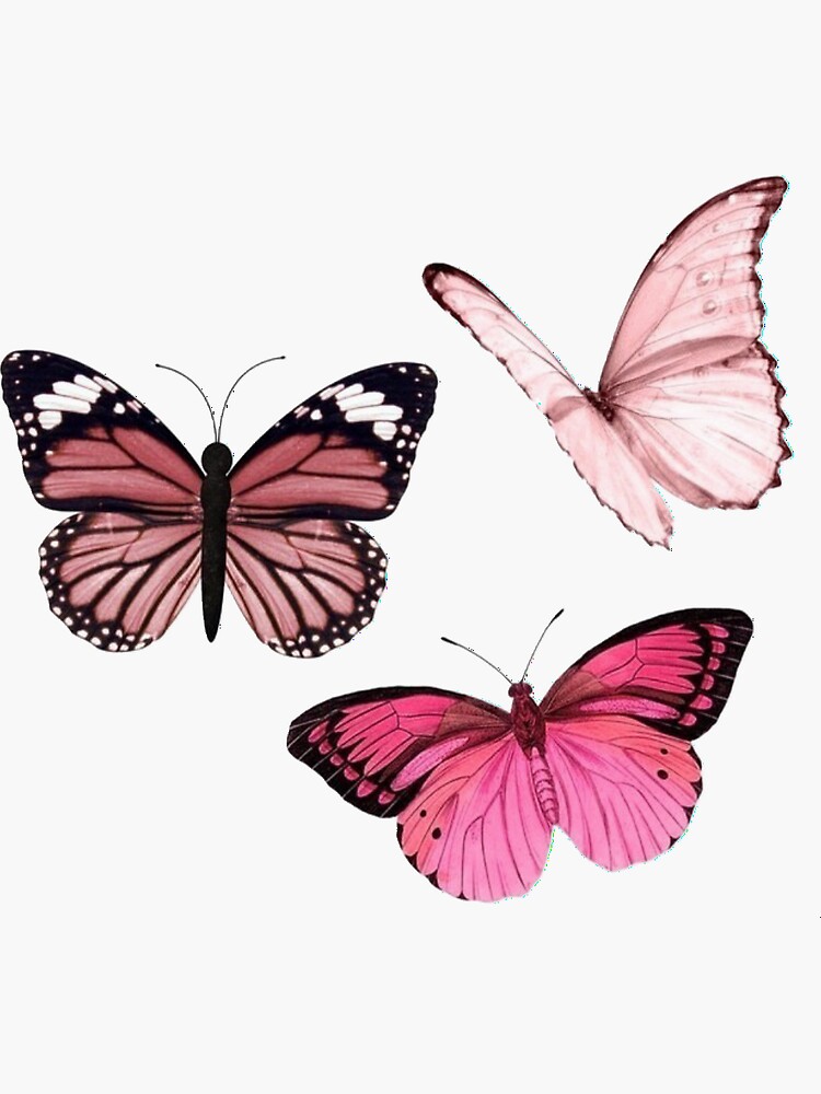 pink butterfly stickers aesthetic sticker by emmagsheehan redbubble