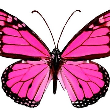 Artwork thumbnail, Hot Pink Butterfly by EmmaGSheehan
