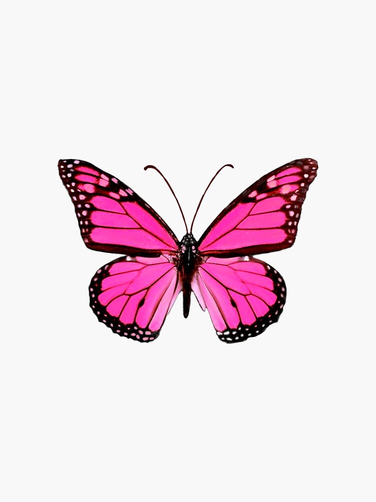 Pink Butterfly stickers *aesthetic* Sticker for Sale by EmmaGSheehan