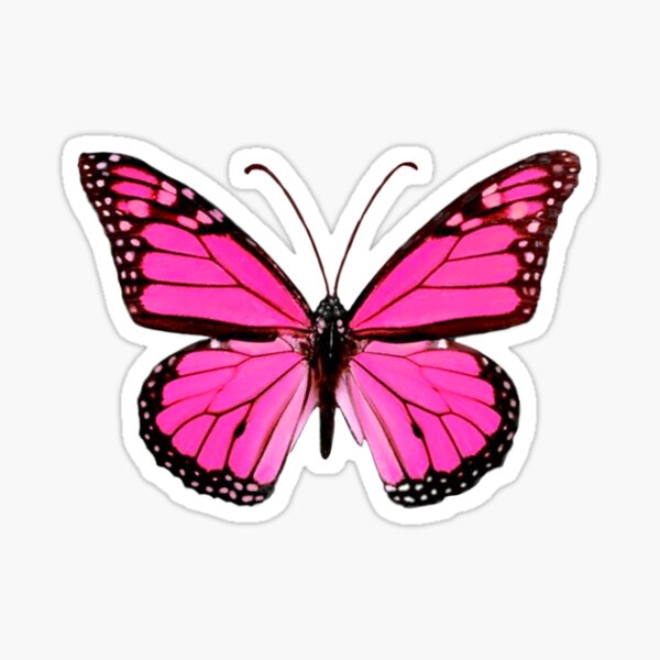 Hot Pink Butterfly  Sticker for Sale by EmmaGSheehan