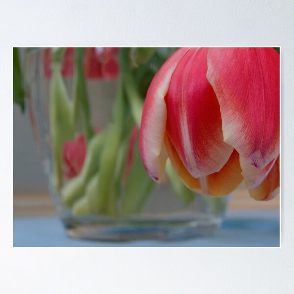Item preview, Tulip Vase designed and sold by Sandra Mangnall.