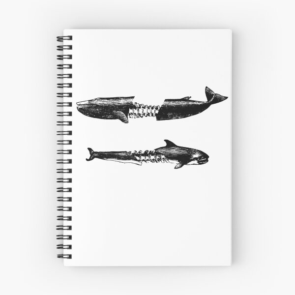 Aperçu de l'œuvre Dead Whales créée et vendue par elphia.
