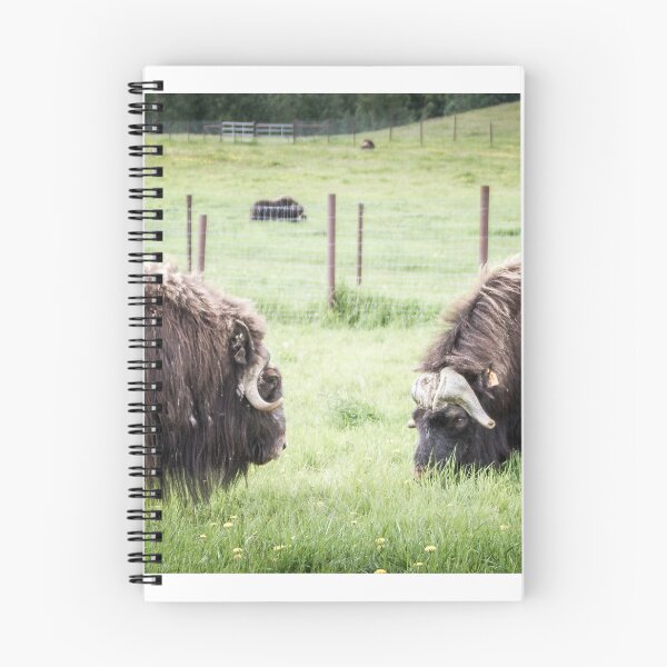 Item preview, North American Wildlife - Musk Ox Cows designed and sold by 3QuartersToday.