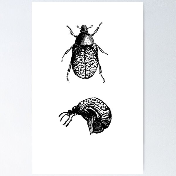 Item preview, Brain Bugs designed and sold by elphia.