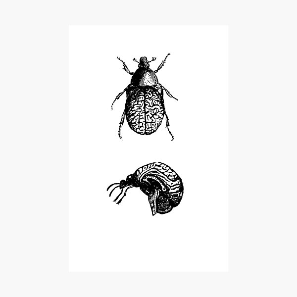 Item preview, Brain Bugs designed and sold by elphia.